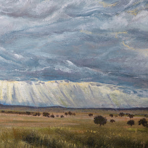 Lone Star Silo by Shannon Lockwood, view 3